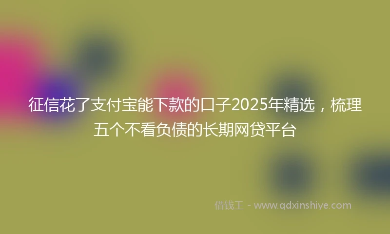 征信花了支付宝能下款的口子2025年精选,梳理五个不看负债的长期网贷平台