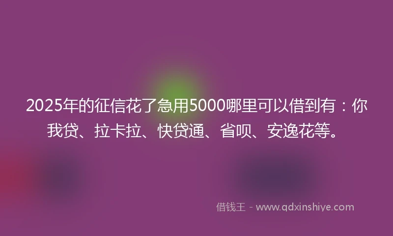 2025年的征信花了急用5000哪里可以借到有：你我贷、拉卡拉、快贷通、省呗、安逸花等。
