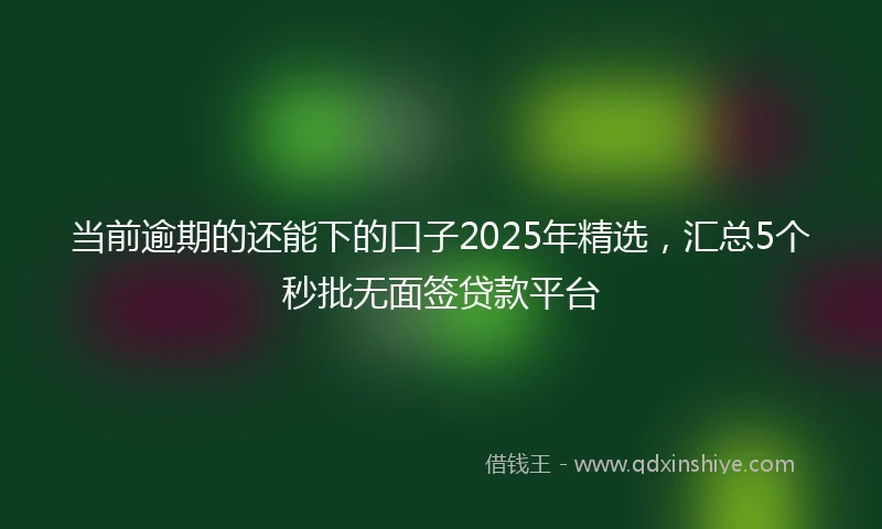 当前逾期的还能下的口子2025年精选,汇总5个秒批无面签贷款平台