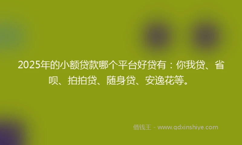 2025年的小额贷款哪个平台好贷有：你我贷、省呗、拍拍贷、随身贷、安逸花等。