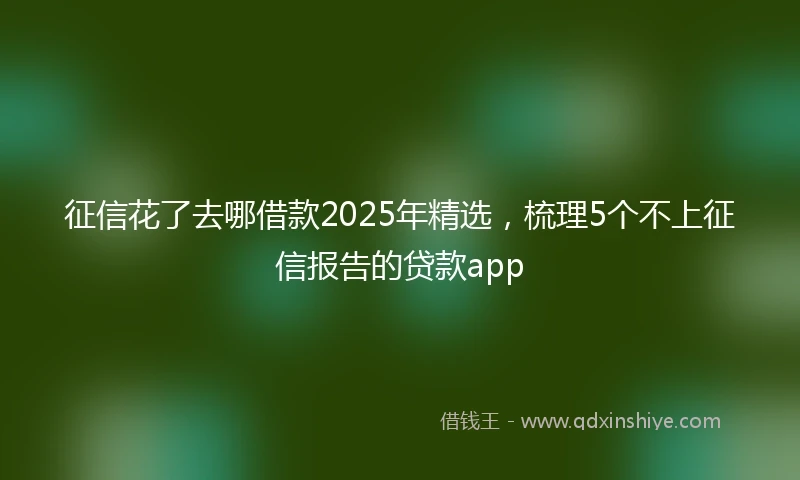 征信花了去哪借款2025年精选,梳理5个不上征信报告的贷款app