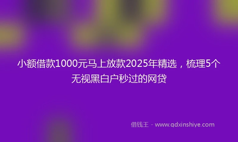 小额借款1000元马上放款2025年精选，梳理5个无视黑白户秒过的网贷