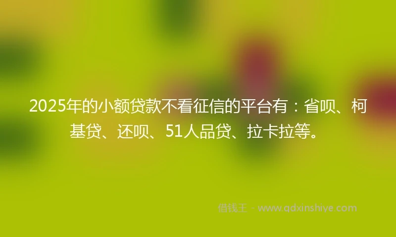 2025年的小额贷款不看征信的平台有：省呗、柯基贷、还呗、51人品贷、拉卡拉等。