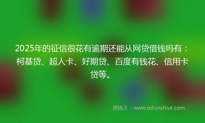 2025年的征信很花有逾期还能从网贷借钱吗有：柯基贷、超人卡、好期贷、百度有钱花、信用卡贷等。
