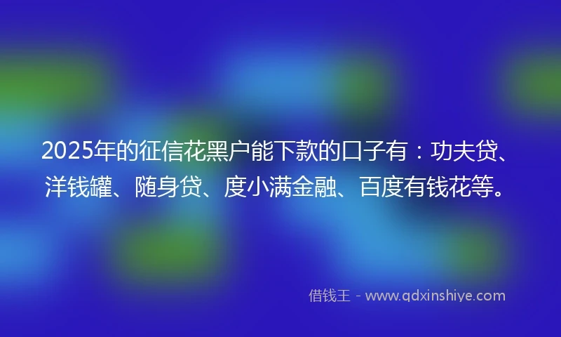 2025年的征信花黑户能下款的口子有：功夫贷、洋钱罐、随身贷、度小满金融、百度有钱花等。