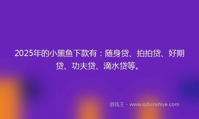 2025年的小黑鱼下款有：随身贷、拍拍贷、好期贷、功夫贷、滴水贷等。