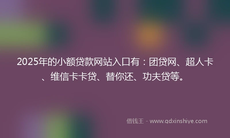 2025年的小额贷款网站入口有：团贷网、超人卡、维信卡卡贷、替你还、功夫贷等。