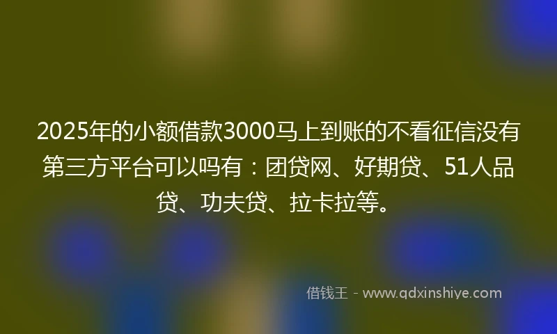 2025年的小额借款3000马上到账的不看征信没有第三方平台可以吗有：团贷网、好期贷、51人品贷、功夫贷、拉卡拉等。