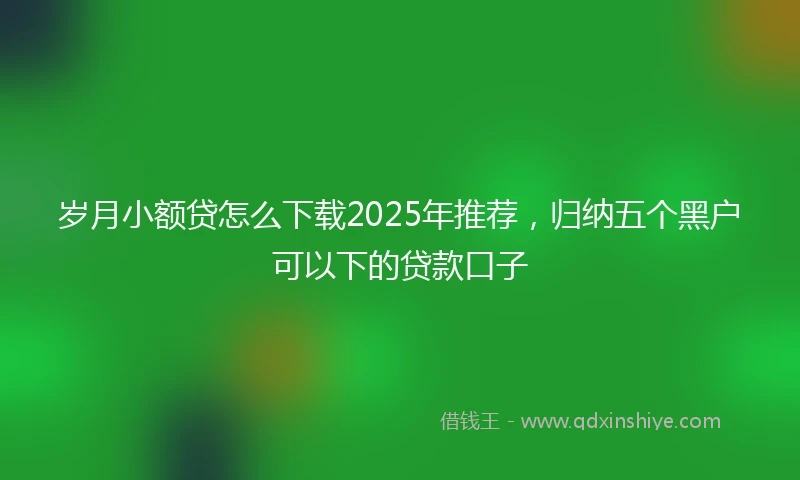 岁月小额贷怎么下载2025年推荐，归纳五个黑户可以下的贷款口子