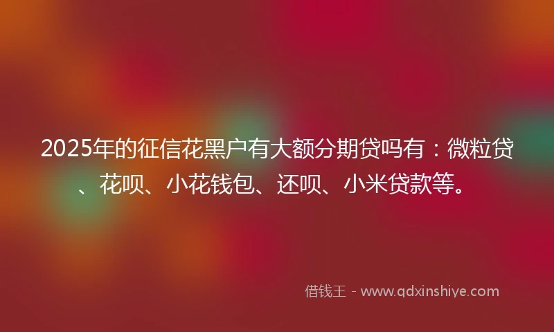 2025年的征信花黑户有大额分期贷吗有：微粒贷、花呗、小花钱包、还呗、小米贷款等。