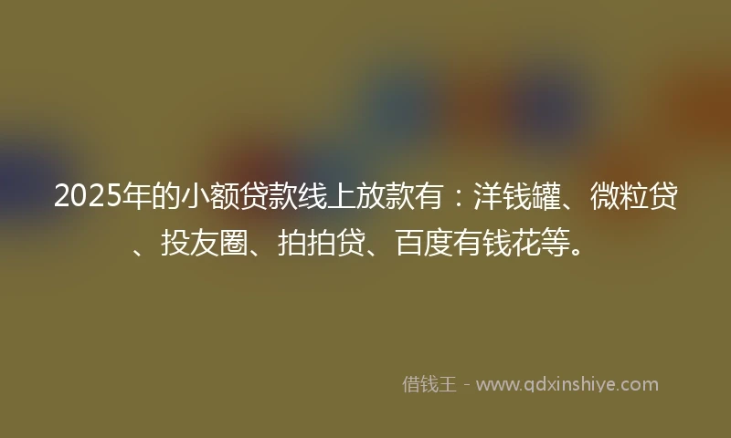2025年的小额贷款线上放款有:洋钱罐、微粒贷、投友圈、拍拍贷、百度有钱花等。