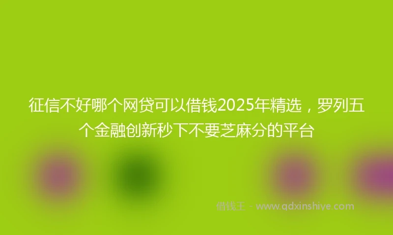 征信不好哪个网贷可以借钱2025年精选，罗列五个金融创新秒下不要芝麻分的平台