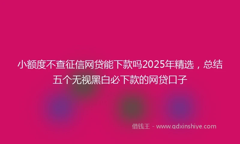 小额度不查征信网贷能下款吗2025年精选，总结五个无视黑白必下款的网贷口子