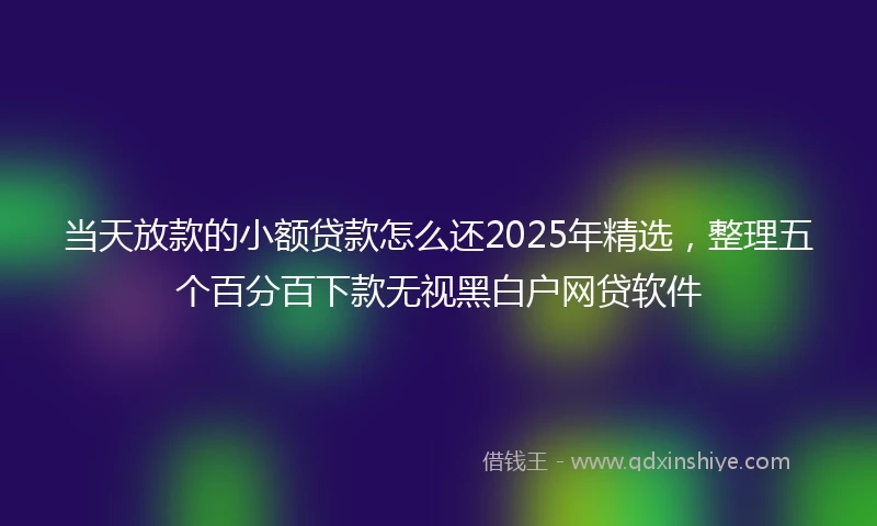 当天放款的小额贷款怎么还2025年精选，整理五个百分百下款无视黑白户网贷软件