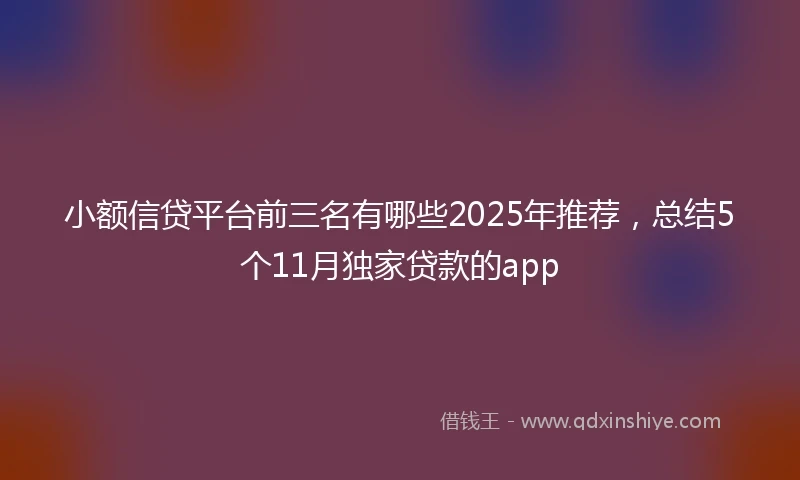 小额信贷平台前三名有哪些2025年推荐，总结5个11月独家贷款的app