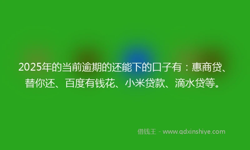 2025年的当前逾期的还能下的口子有：惠商贷、替你还、百度有钱花、小米贷款、滴水贷等。