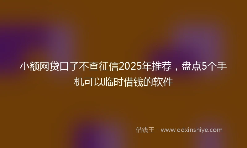 小额网贷口子不查征信2025年推荐，盘点5个手机可以临时借钱的软件