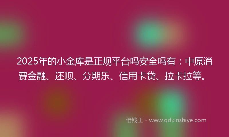 2025年的小金库是正规平台吗安全吗有：中原消费金融、还呗、分期乐、信用卡贷、拉卡拉等。