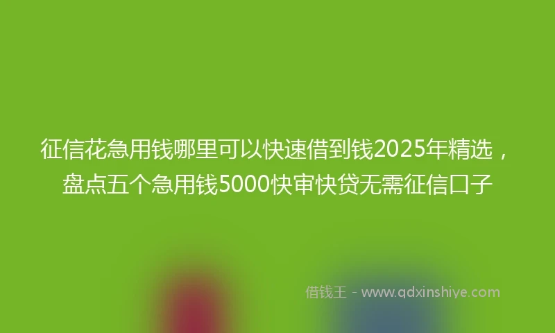 征信花急用钱哪里可以快速借到钱2025年精选，盘点五个急用钱5000快审快贷无需征信口子