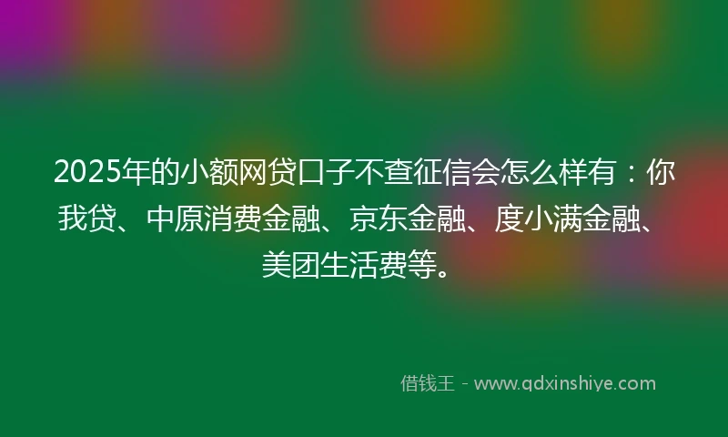 2025年的小额网贷口子不查征信会怎么样有：你我贷、中原消费金融、京东金融、度小满金融、美团生活费等。