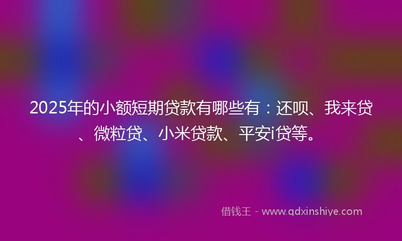 2025年的小额短期贷款有哪些有：还呗、我来贷、微粒贷、小米贷款、平安i贷等。