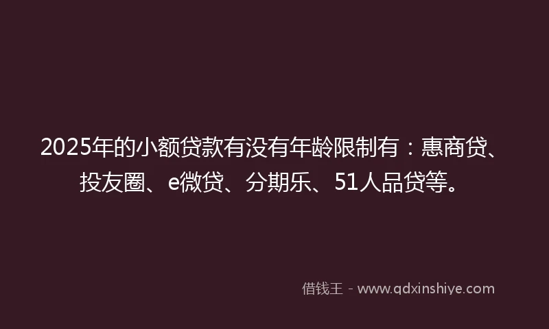 2025年的小额贷款有没有年龄限制有：惠商贷、投友圈、e微贷、分期乐、51人品贷等。