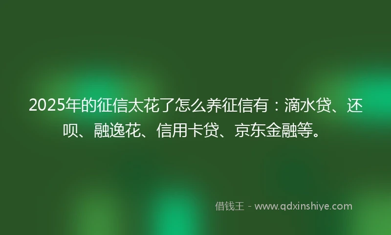 2025年的征信太花了怎么养征信有:滴水贷、还呗、融逸花、信用卡贷、京东金融等。