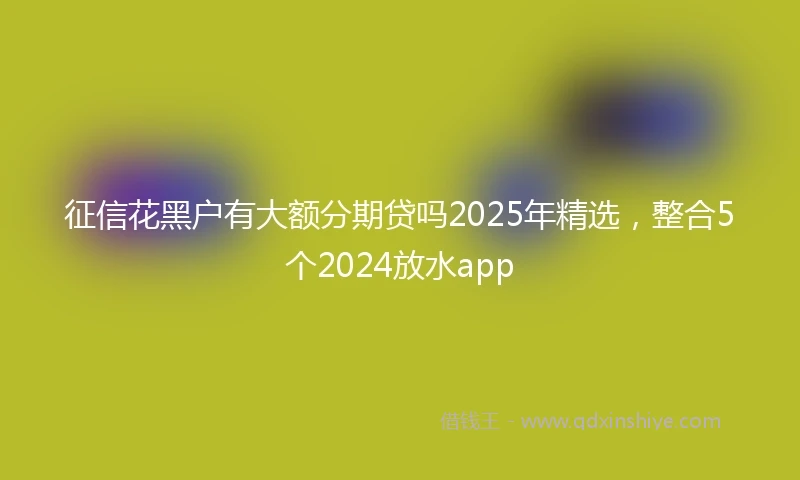 征信花黑户有大额分期贷吗2025年精选，整合5个2024放水app