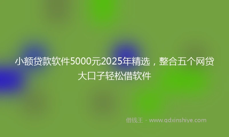 小额贷款软件5000元2025年精选，整合五个网贷大口子轻松借软件