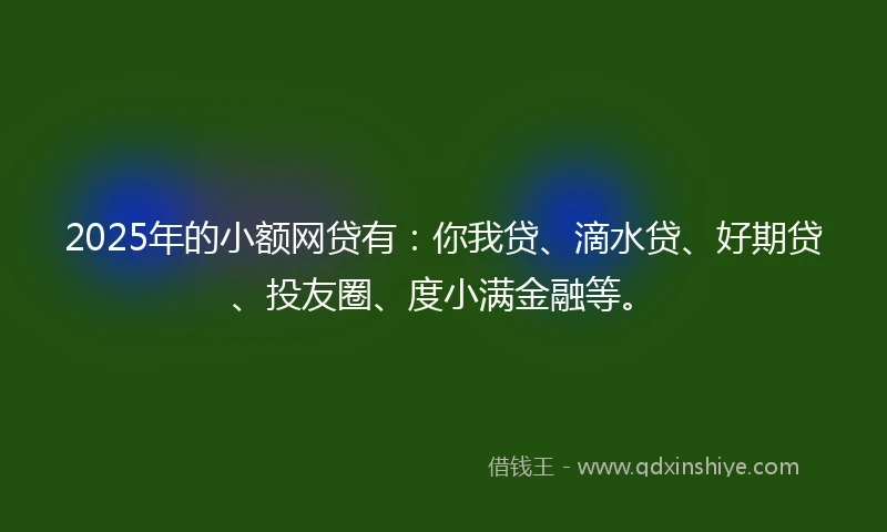 2025年的小额网贷有：你我贷、滴水贷、好期贷、投友圈、度小满金融等。