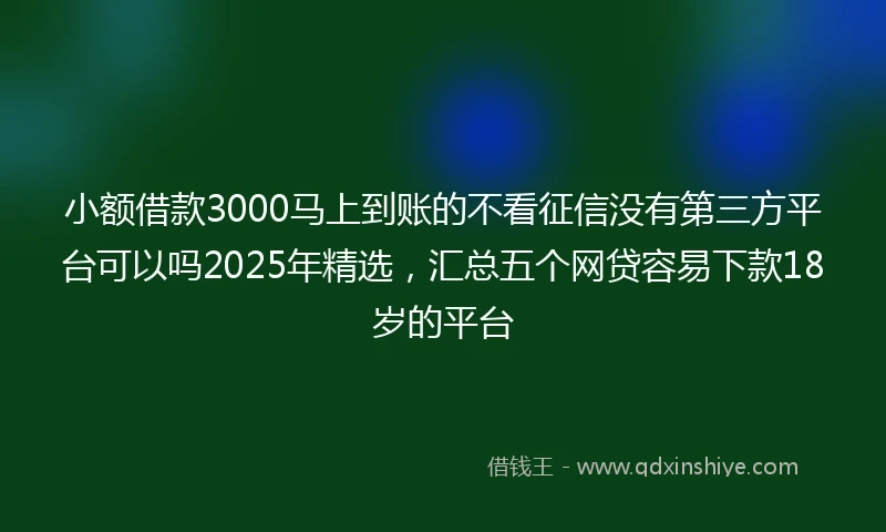 小额借款3000马上到账的不看征信没有第三方平台可以吗2025年精选，汇总五个网贷容易下款18岁的平台