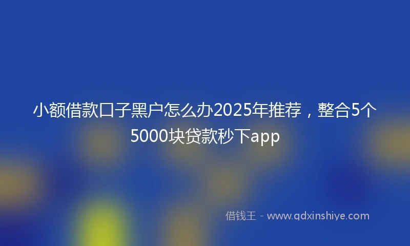 小额借款口子黑户怎么办2025年推荐，整合5个5000块贷款秒下app