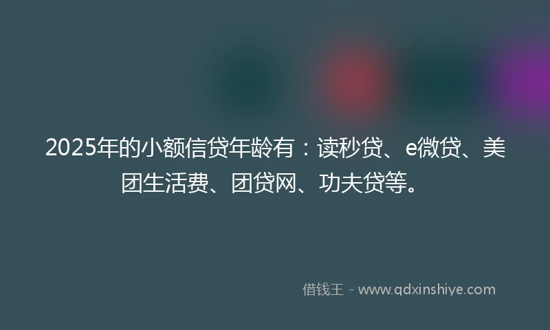 2025年的小额信贷年龄有：读秒贷、e微贷、美团生活费、团贷网、功夫贷等。