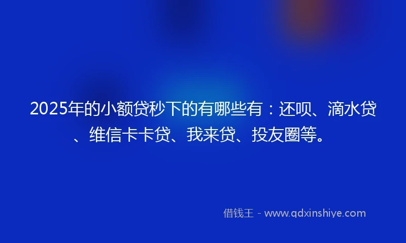 2025年的小额贷秒下的有哪些有：还呗、滴水贷、维信卡卡贷、我来贷、投友圈等。