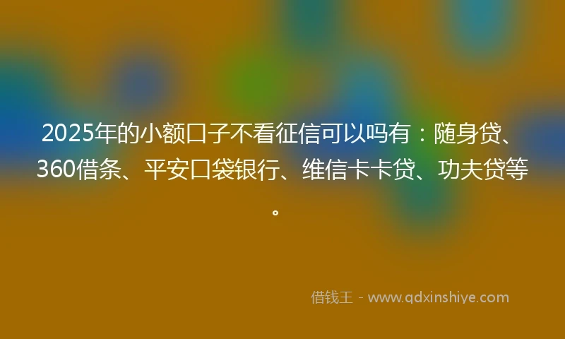 2025年的小额口子不看征信可以吗有：随身贷、360借条、平安口袋银行、维信卡卡贷、功夫贷等。