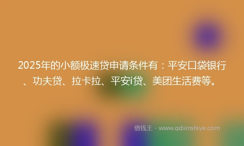 2025年的小额极速贷申请条件有：平安口袋银行、功夫贷、拉卡拉、平安i贷、美团生活费等。