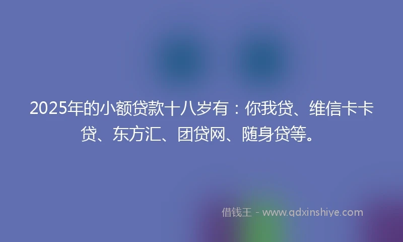 2025年的小额贷款十八岁有：你我贷、维信卡卡贷、东方汇、团贷网、随身贷等。