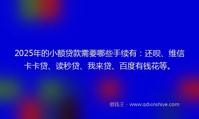 2025年的小额贷款需要哪些手续有：还呗、维信卡卡贷、读秒贷、我来贷、百度有钱花等。