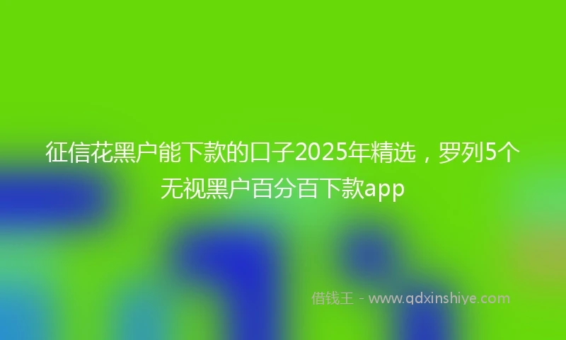 征信花黑户能下款的口子2025年精选，罗列5个无视黑户百分百下款app