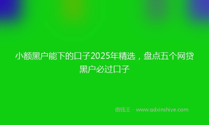 小额黑户能下的口子2025年精选，盘点五个网贷黑户必过口子
