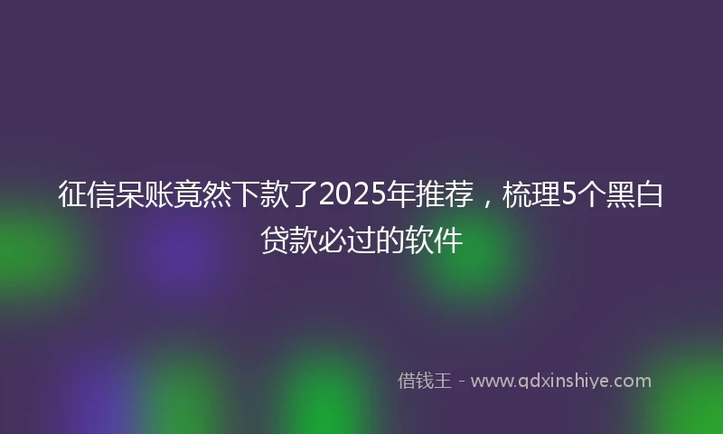 征信呆账竟然下款了2025年推荐，梳理5个黑白贷款必过的软件