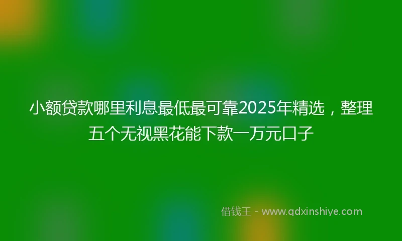 小额贷款哪里利息最低最可靠2025年精选，整理五个无视黑花能下款一万元口子