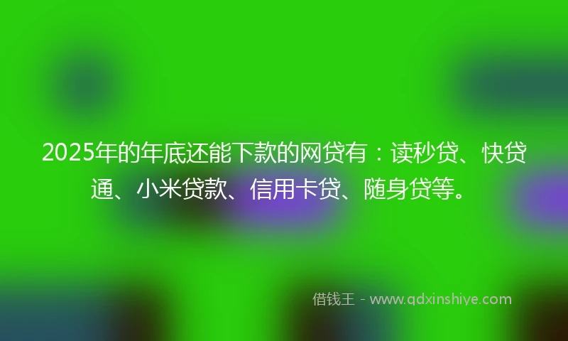 2025年的年底还能下款的网贷有：读秒贷、快贷通、小米贷款、信用卡贷、随身贷等。