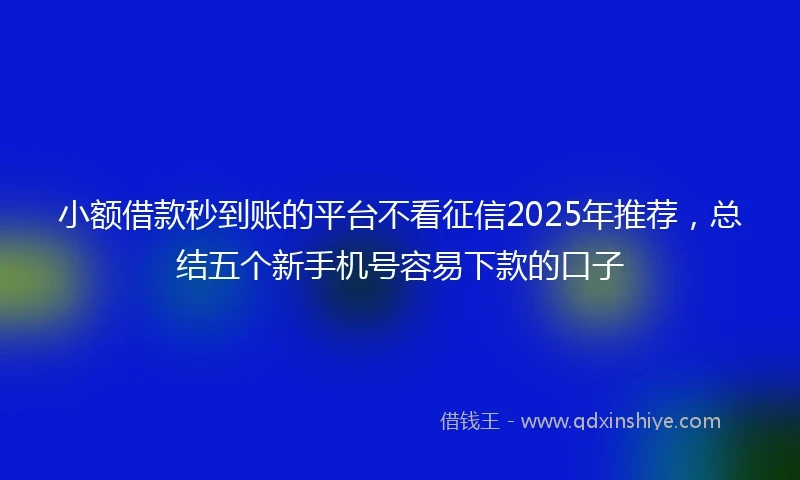 小额借款秒到账的平台不看征信2025年推荐，总结五个新手机号容易下款的口子