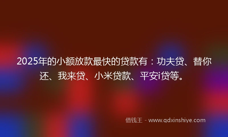 2025年的小额放款最快的贷款有：功夫贷、替你还、我来贷、小米贷款、平安i贷等。