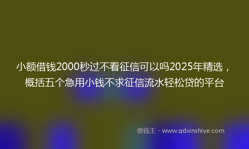 小额借钱2000秒过不看征信可以吗2025年精选，概括五个急用小钱不求征信流水轻松贷的平台