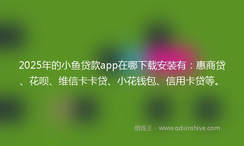 2025年的小鱼贷款app在哪下载安装有：惠商贷、花呗、维信卡卡贷、小花钱包、信用卡贷等。