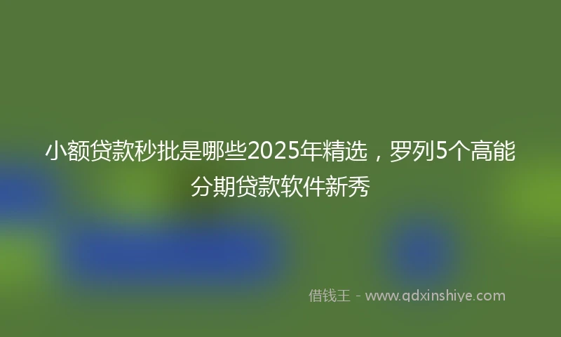 小额贷款秒批是哪些2025年精选，罗列5个高能分期贷款软件新秀