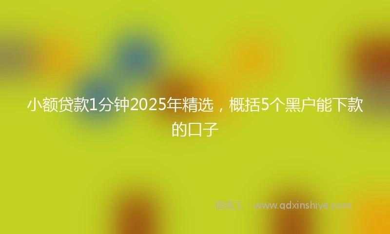 小额贷款1分钟2025年精选，概括5个黑户能下款的口子