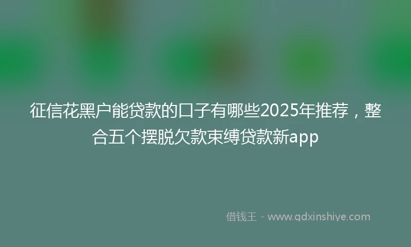 征信花黑户能贷款的口子有哪些2025年推荐，整合五个摆脱欠款束缚贷款新app